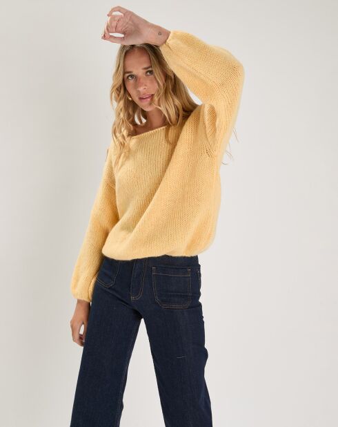 Pull Labonita poussin