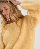 Pull Labonita poussin