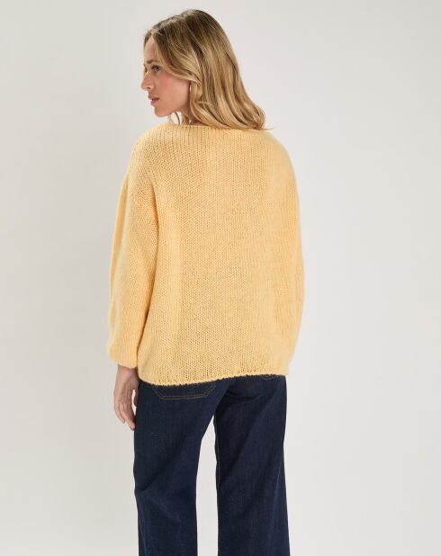 Pull Labonita poussin