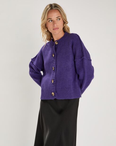 Pull Lenewi violet