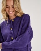 Pull Lenewi violet