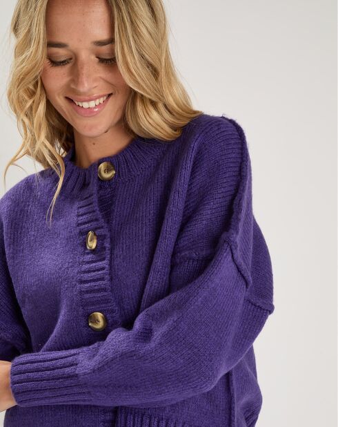 Pull Lenewi violet