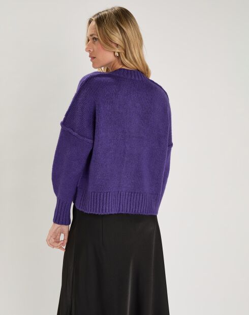 Pull Lenewi violet