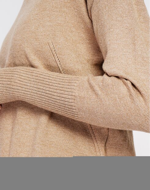 Pull Inaya camel