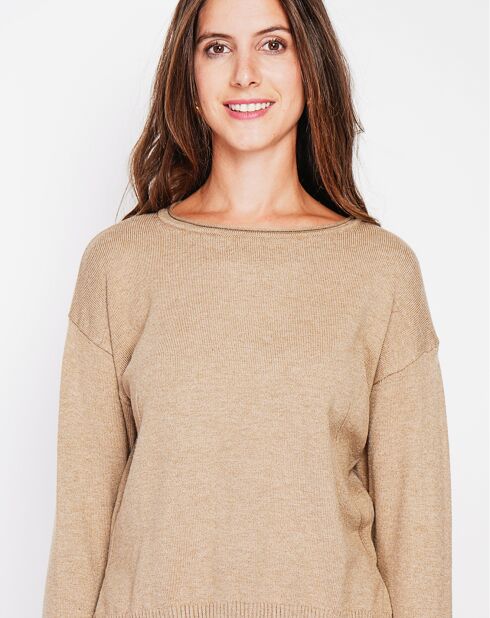 Pull Inaya camel