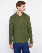 Pull Pierre kaki