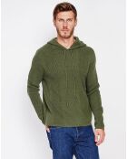 Pull Pierre kaki