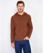 Pull Pierre marron