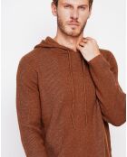 Pull Pierre marron
