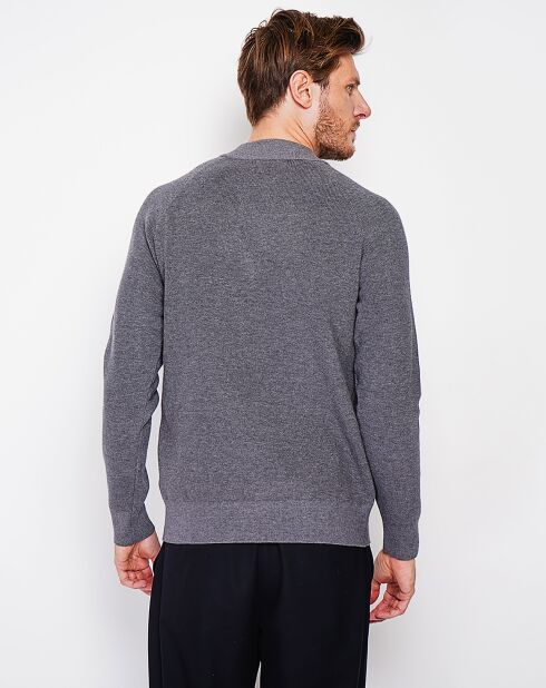 Pull Tom loup