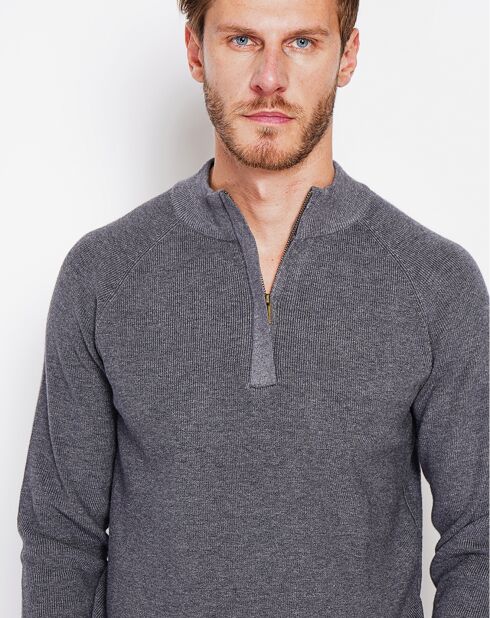Pull Tom loup