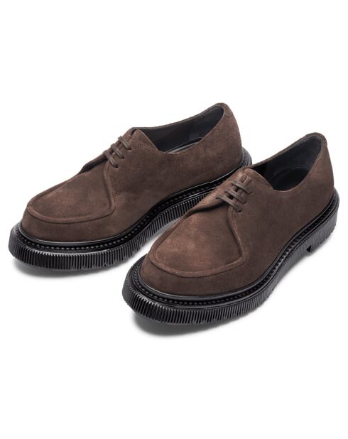 Derbies terre