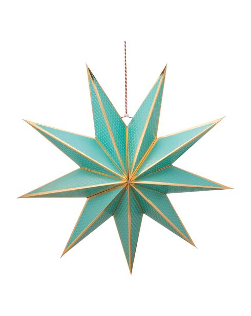 Suspension étoile en carton verte - 60cm