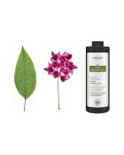 Shampoo anticaduta biologico 1000 ml