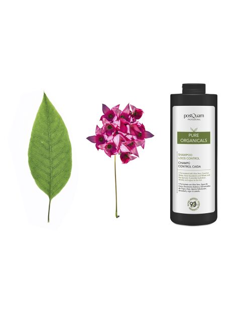 Shampoo anticaduta biologico 1000 ml