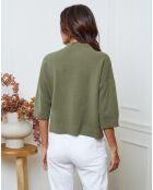 Pull Dylia kaki