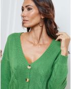 Gilet en Laine mélangée Kirem vert anis