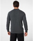 Pull Vicente gris
