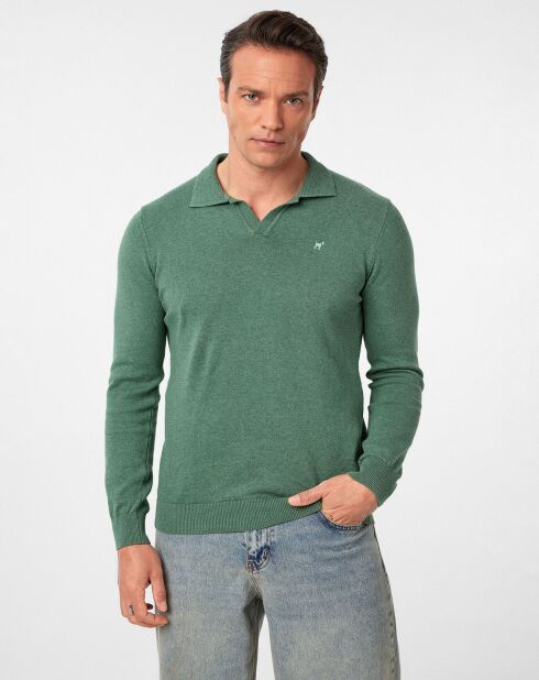 Pull Vicente vert