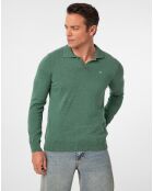 Pull Vicente vert