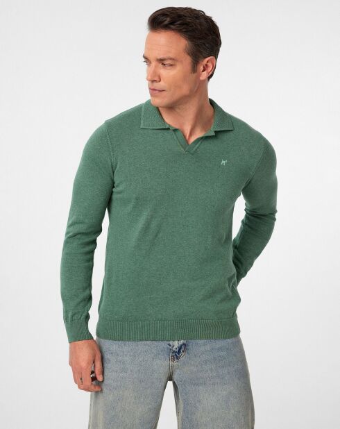 Pull Vicente vert