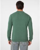 Pull Vicente vert