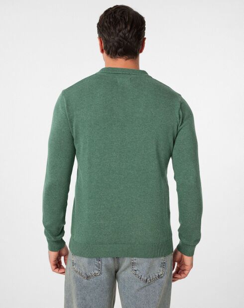 Pull Vicente vert