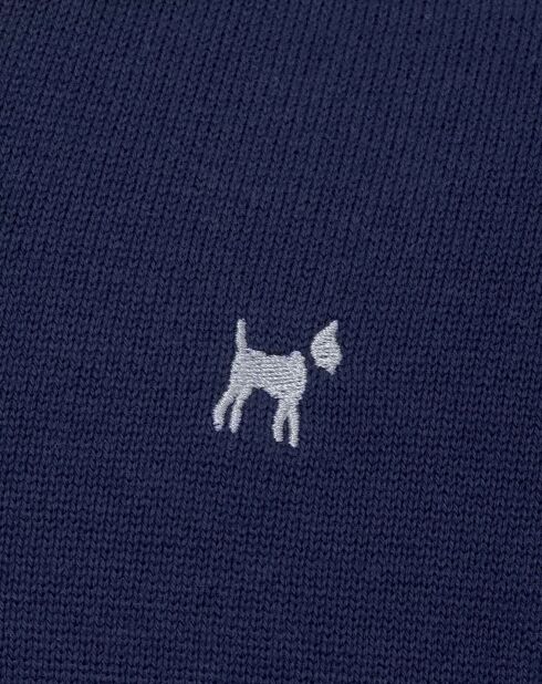 Pull Vicente bleu clair