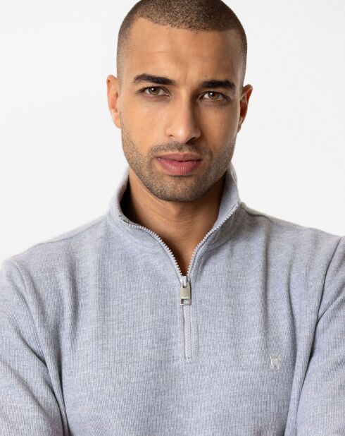 Sweat zippé Raul gris