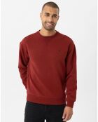 Sweat Hierro bordeaux