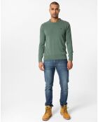 Pull Orlando vert