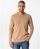 Pull Orlando vison