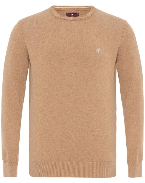 Pull Orlando vison