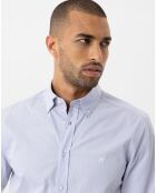 Chemise Dante bleue