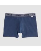 Boxer bleu