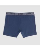 Boxer bleu
