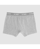 Boxer gis chiné