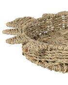 Natürliche Krabbenschale - 40,5 x 31 x 5,5 cm