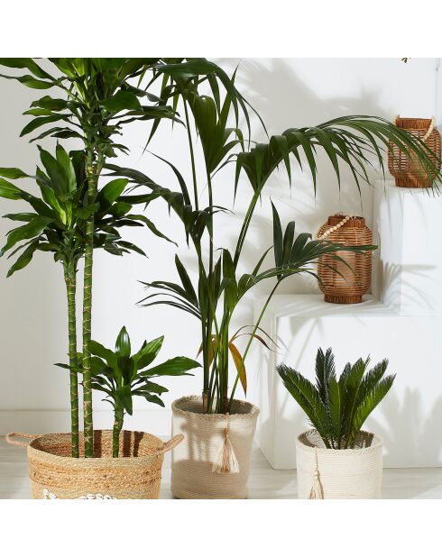 2 Corbeilles blanches