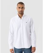 2 Chemises Fernando bleu/blanc