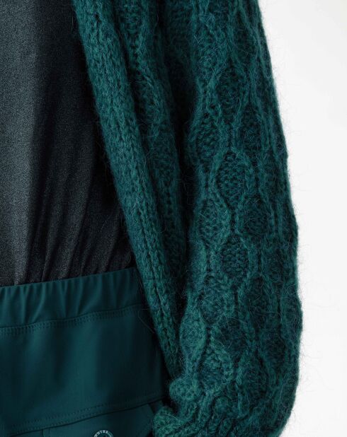 Gilet en Mohair mélangé Aster emeraude