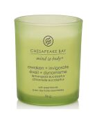 Awakening & Dynamism klein model tumbler geurkaars - 1 lont