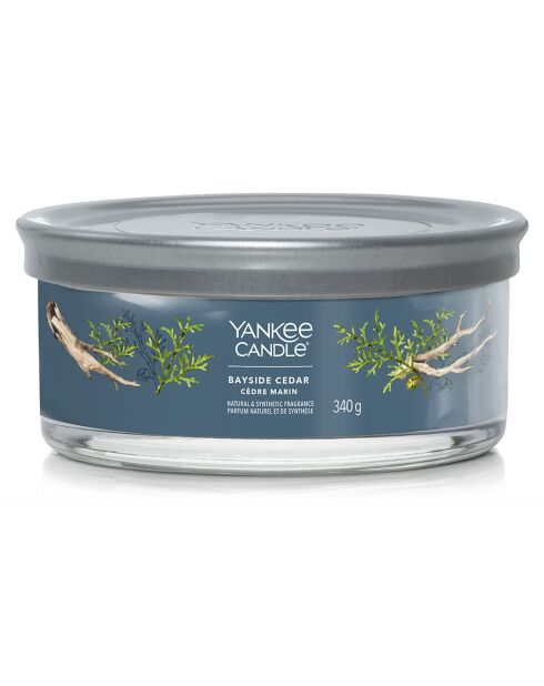 Bougie parfumée signature cedre marin -5 mèches 28 h