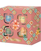 Coffret 3 bougies votives signature - 1 mèche 10h