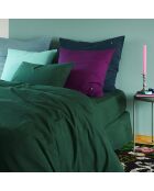 Taie D'Oreiller Celeste purple rain