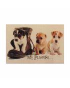 Tapis d'entrée chiots - l60 x l40 cm