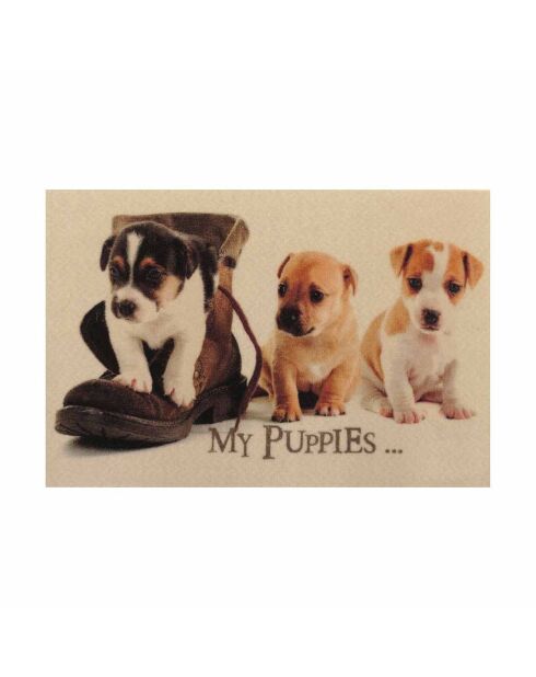 Tapis d'entrée chiots - l60 x l40 cm