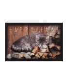 Tapis d'entrée chat - l60 x l40 cm