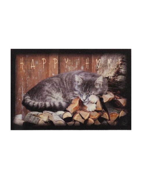 Tapis d'entrée chat - l60 x l40 cm