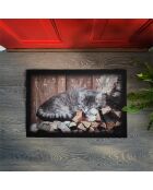 Tapis d'entrée chat - l60 x l40 cm